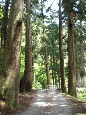 とっておきの新潟の風景をもとめて