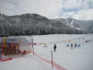 二ノックスで雪上に咲いた幻想的な大花火