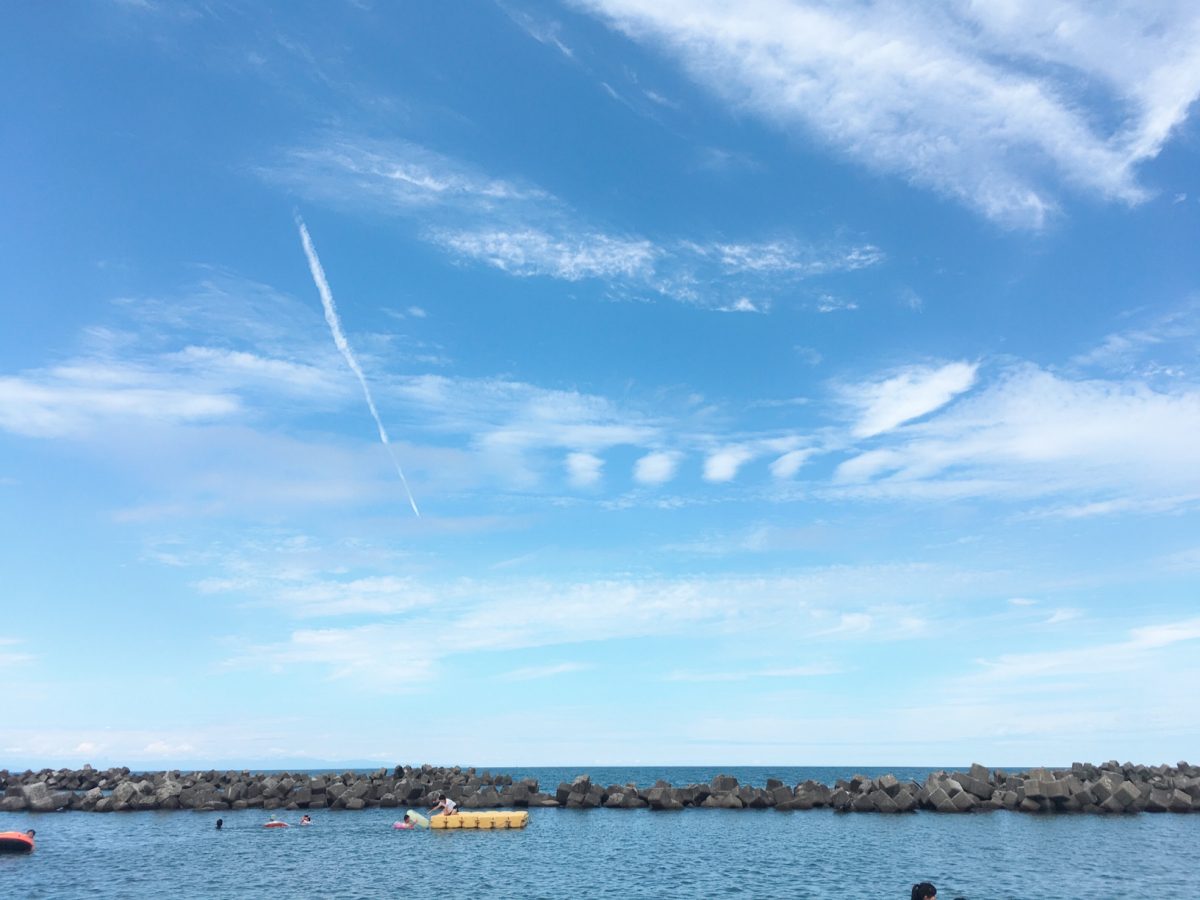 夏、満喫しています