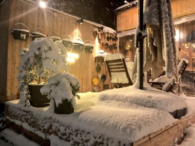 東京に雪