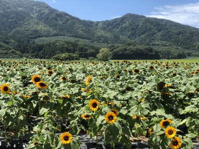 本間の夏休み～イメチェン編