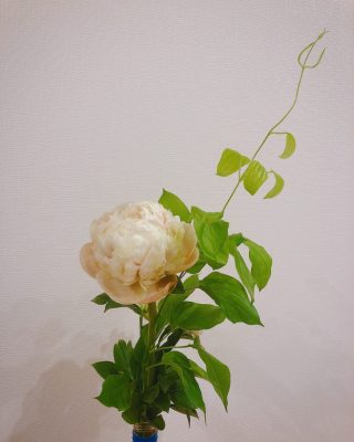 お花が好き