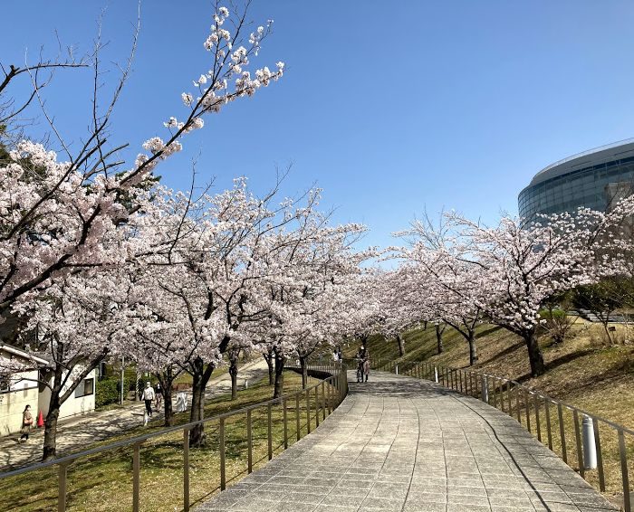 新年度もよろしくお願いします