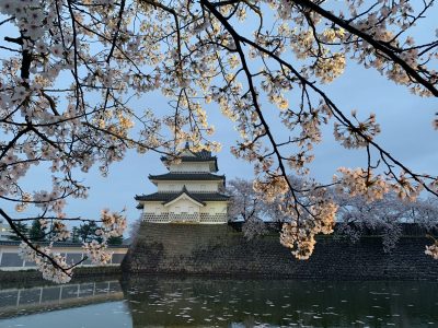 新年度もよろしくお願いします！