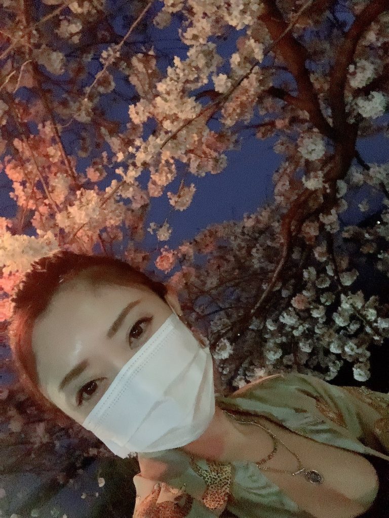 夜桜を見に行っていた。