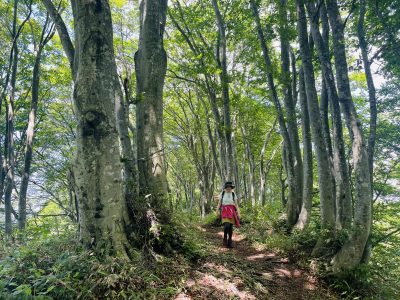 日本一小さい山脈！