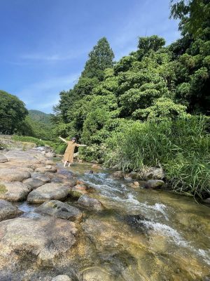 川遊びキャンプ！